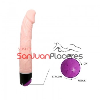 Fantasy vibrador| Sex Shop San Juan Placeres 2645457718