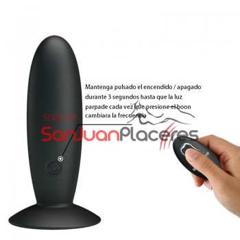 Plug Anal Vibrador | Sanjuanplaceres