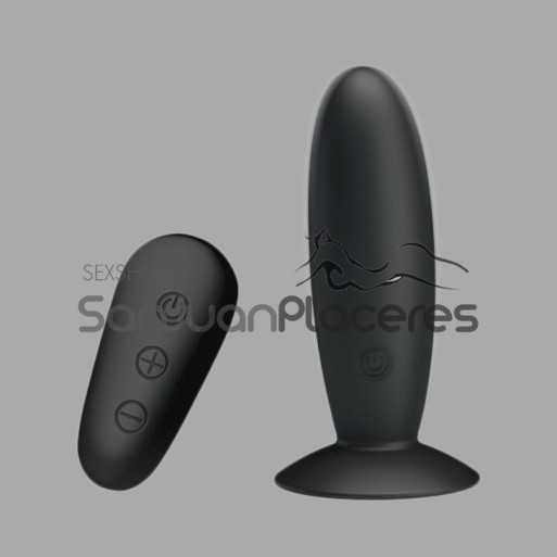 Plug Anal Vibrador | Sanjuanplaceres