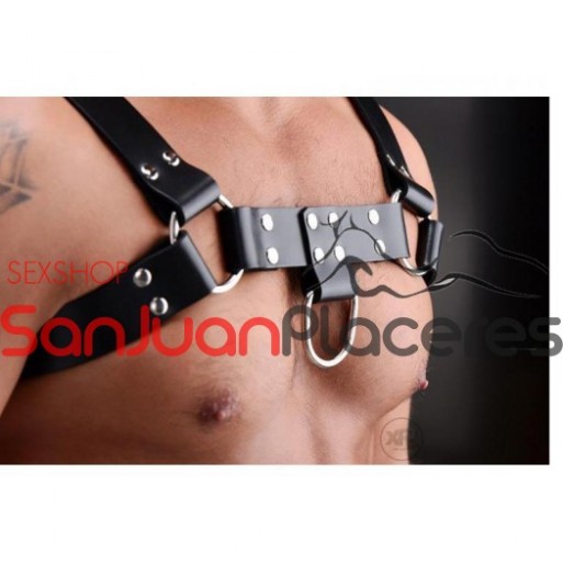 Pechera BDSM | Sexshop San Juan Placeres