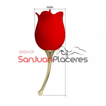 Rose Lover Sexo Oral - Sanjuanplaceres Sexshop