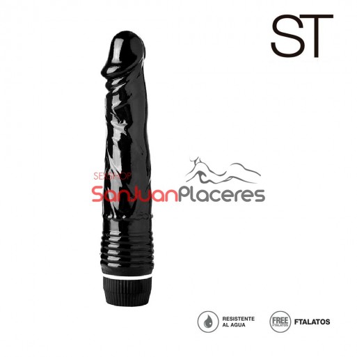 Vibrador | Vibradores| San Juan Placeres