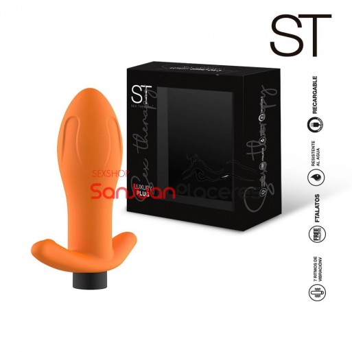 Plug Vibrador | Sanjuanplaceres