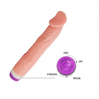 Vibrador Economico | Sanjuanplaceres